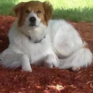 Meet your Posher, Cathy